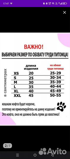 Одежда для животного