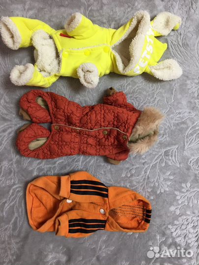 Одежда для мини собак