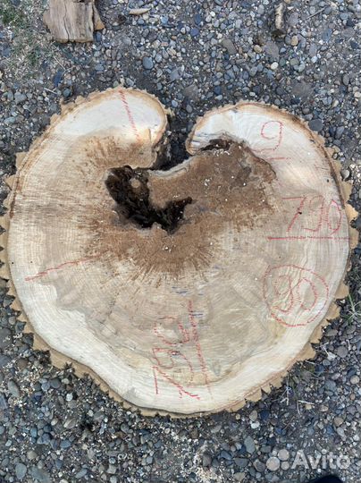 Ясень торцевые спилы