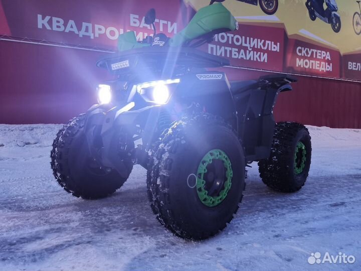 Квадроцикл promax wild 175 LUX В черном цвете