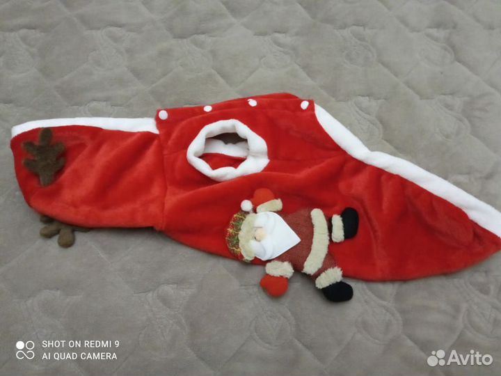 Одежда жля собачки)