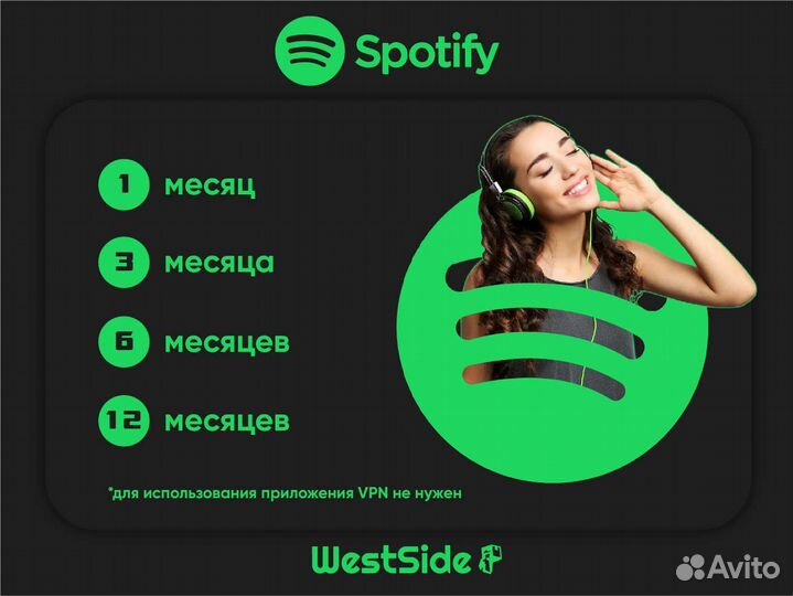 Spotify premium 1/3/6 месяцев
