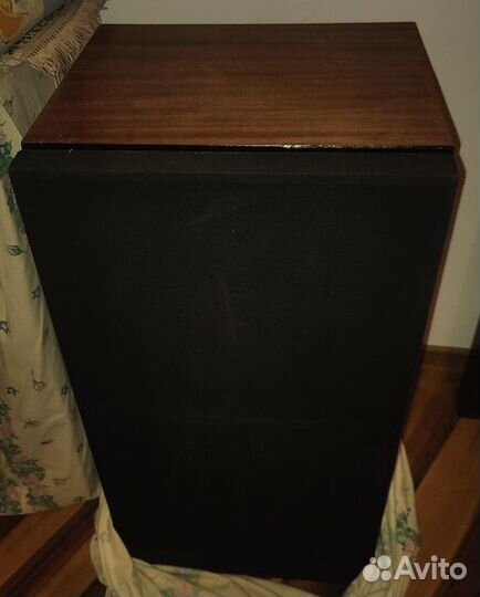 Колонки электроника 50 ас-061м