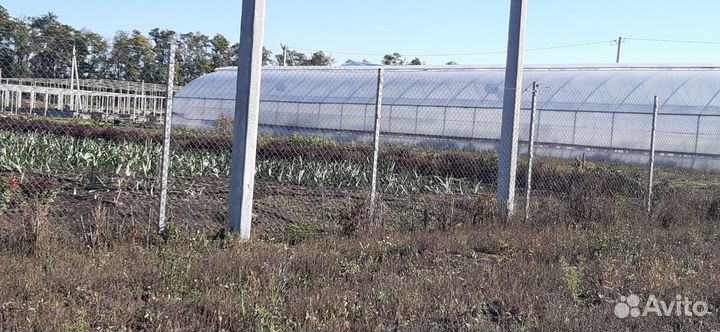 Готовый бизнес, питомник растений