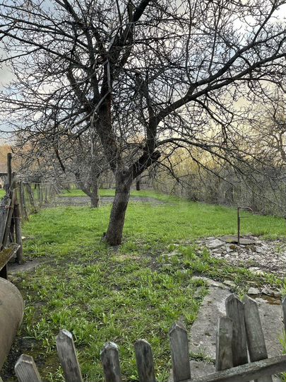 Дом 76 м² на участке 25 сот.