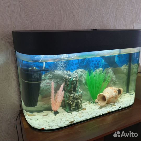 Аквариум 100л