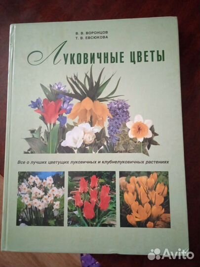 Книга,луковичные