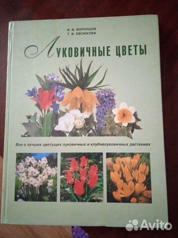 Книга,луковичные