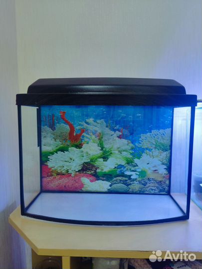 Аквариум