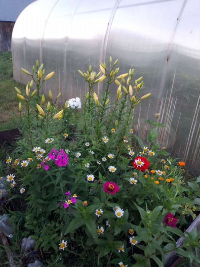 Дом 31,1 м² на участке 9 сот.