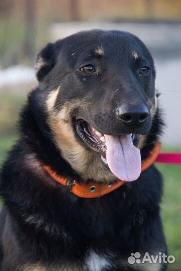 Болек и Лёлик