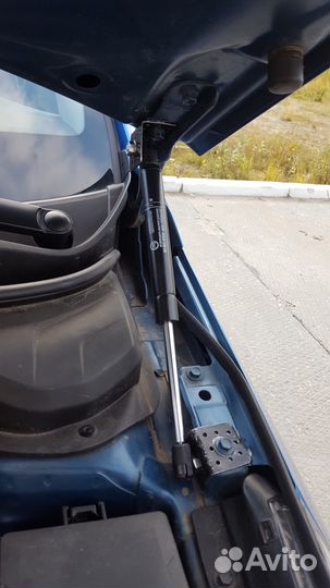 Газовые упоры капота