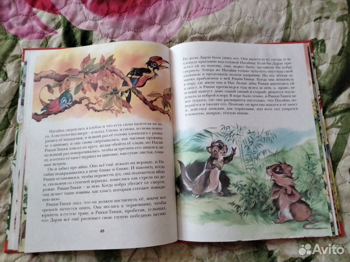 Мауги, Квартет басни