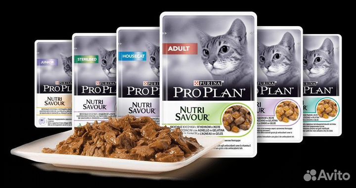 Влажный корм pro plan для кошек в ассортименте