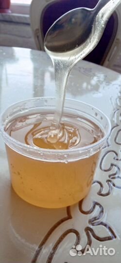 Мед акация оптом и в розницу