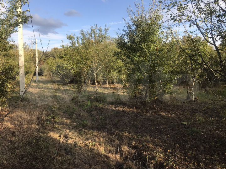 Участок 1,1 га (СНТ, ДНП)