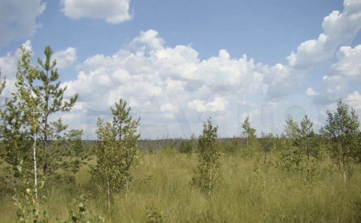 Участок 100 сот. (СНТ, ДНП)