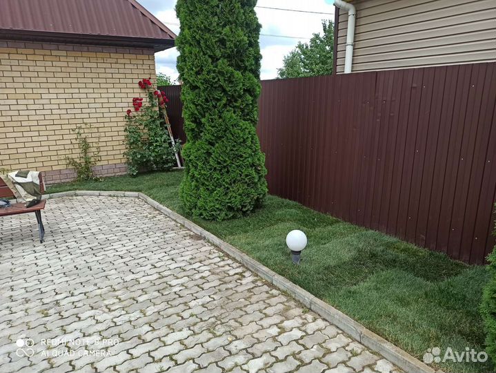 Рулонный газон в наличии