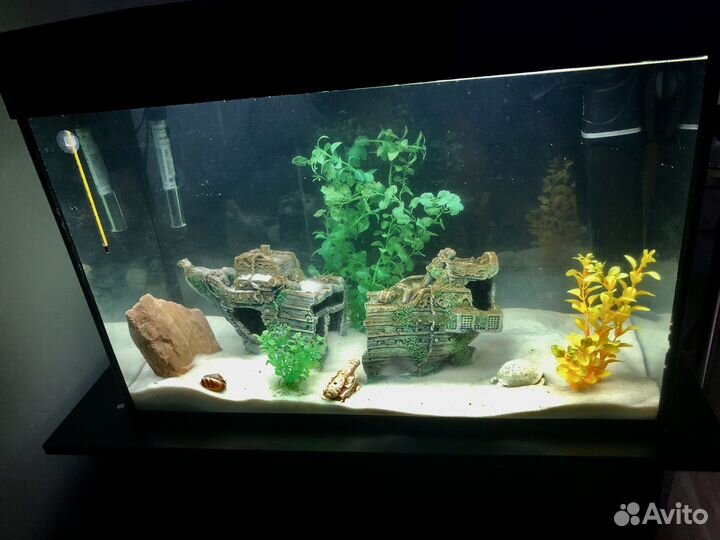 85 литров полный комплект аквариум цихлидник