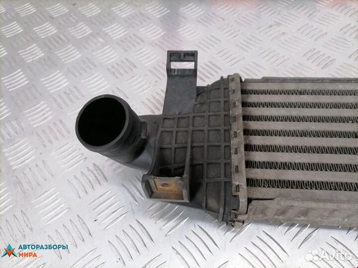 Интеркулер Ford Focus рест. 2005 1423959