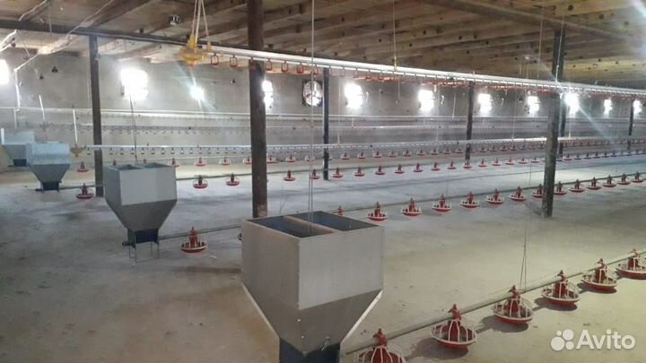 Оборудование для птичника