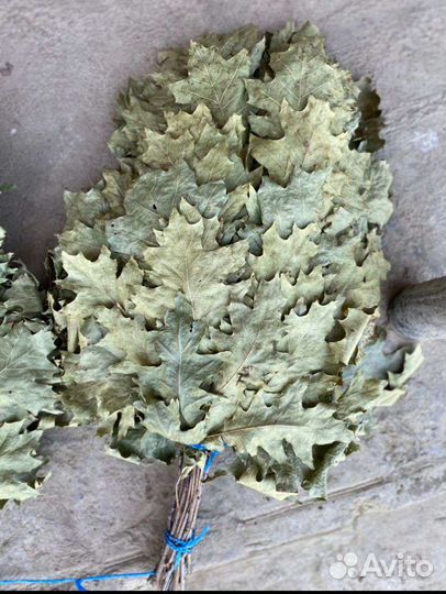 Дубовые веники для бани