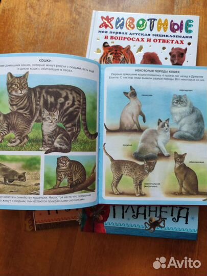 Детские книги пакетом