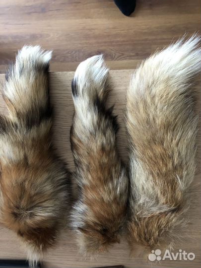 Лисий хвост