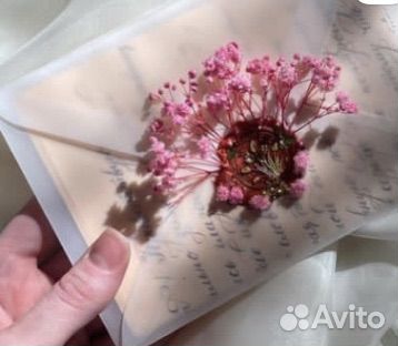 Письма в конверте