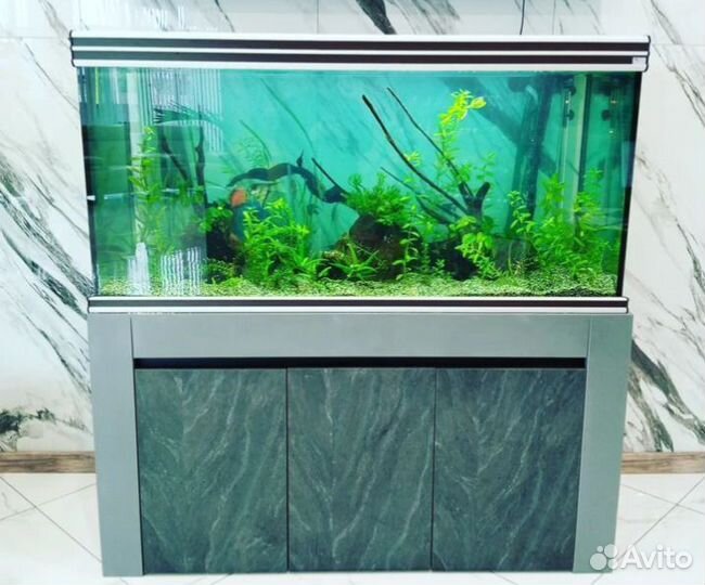 Студия Аквариумного дизайна Аква