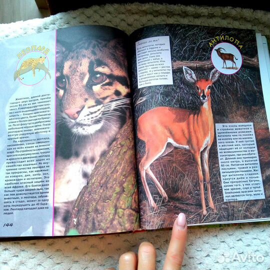 Книга Животные Для Самых Маленьких