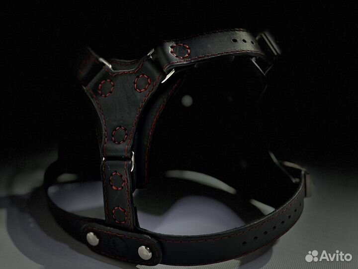 Шлейка для собаки, из кожи, ручной работы