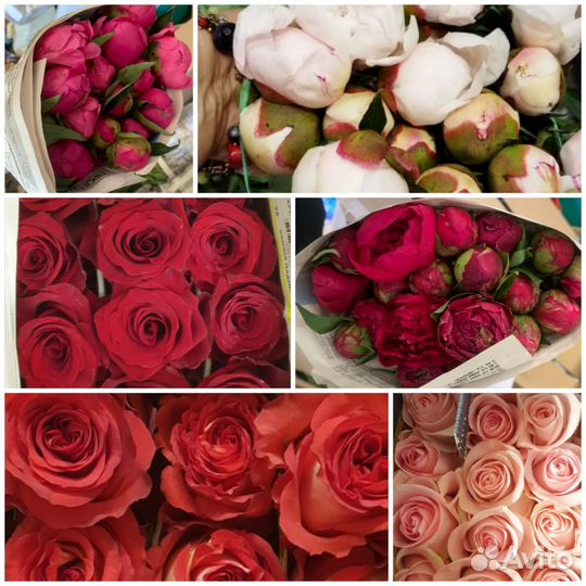 Пионы букеты/ пионы оптом/ розы букеты с доставкой