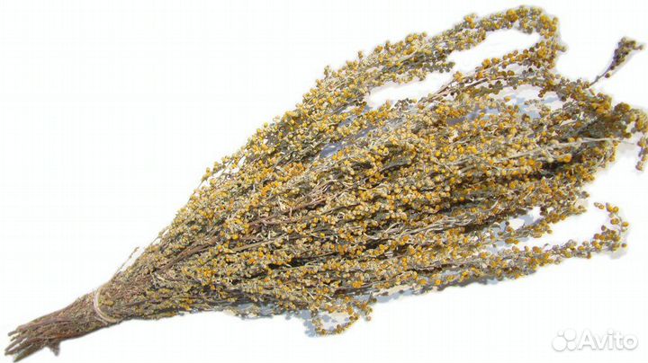 Травы для бани. Полынь, Мята, Донник, Таволга