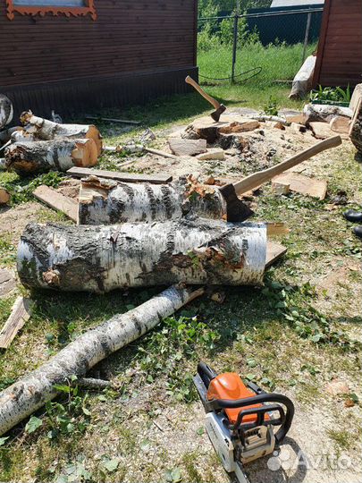 Культивация, благоустройство, покос