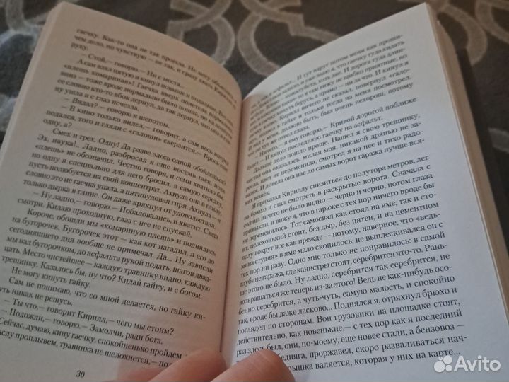 Пикник на обочине