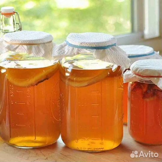 Чайный гриб, крыжовник,смородина,варенье,компоты