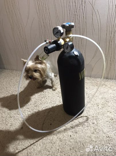 Баллон углекислотный,CO 2/5л.,с редуктором