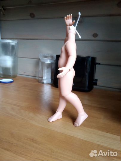 Паоло Рейна шарнирное тело