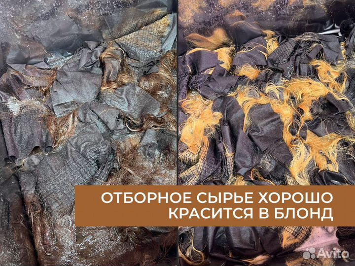 Натуральные волосы. Поставщик волос. Опт/розница