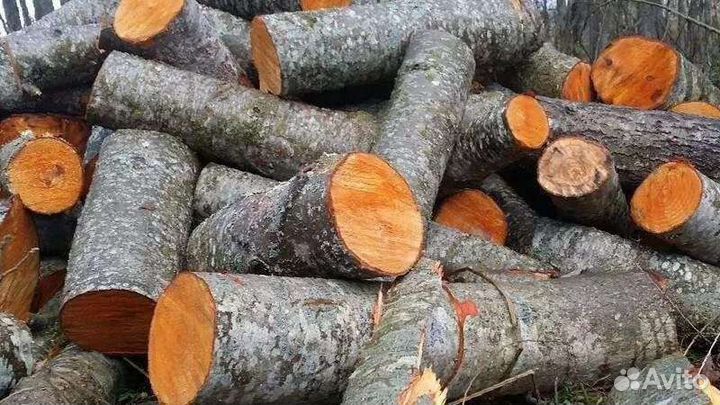 Дрова ольха для камина