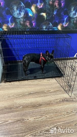 Клетка вольер для собак