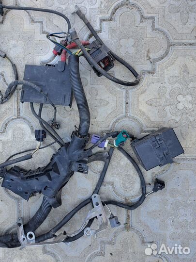 Коса двигателя Ford Fusion