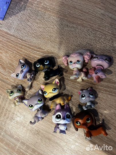 Littlest Pet Shop lps лпс