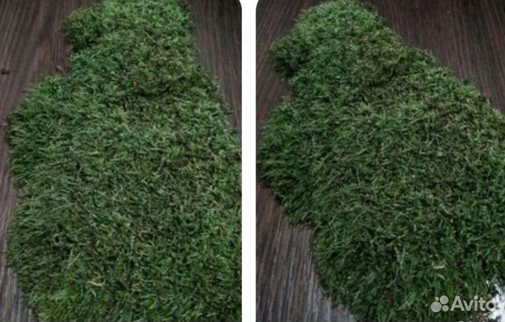 Мох стабилизированный в остатках