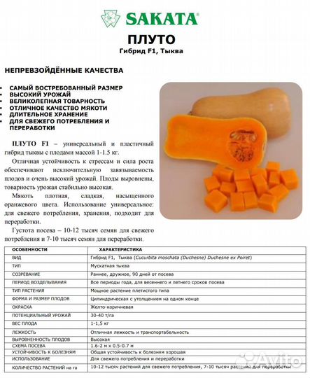 Тыква Плуто семена