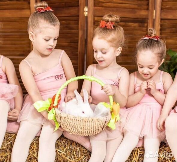 Ширма 200х240 Rustic на мероприятие Фотозона декор