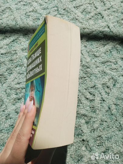 Стивен Кинг - клатбище домашних жЫвотных