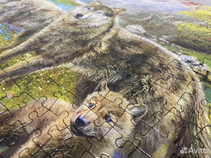 Пазлы 500 Семья волков