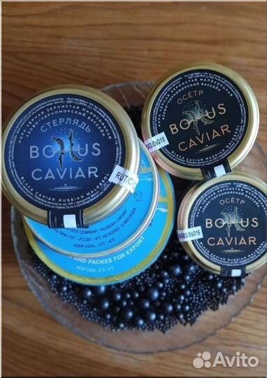 Малосол черная икра